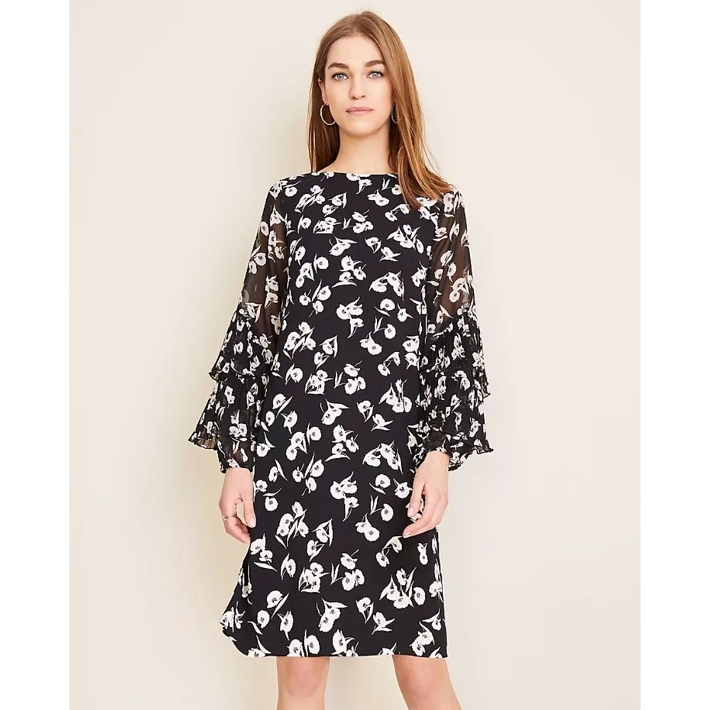 Ann‎ Taylor Black Label Poppy Ruffle Sleeve Shift Dress 12 Black White Floral